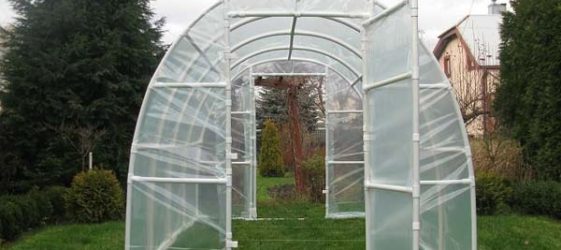 DIY greenhouse made of PVC pipes