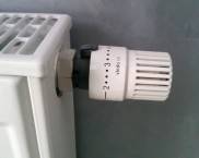 Thermal head for heating radiator