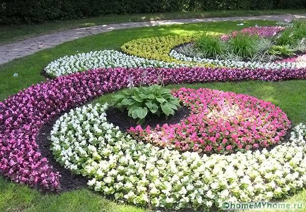 Цветна градина с ясни граници