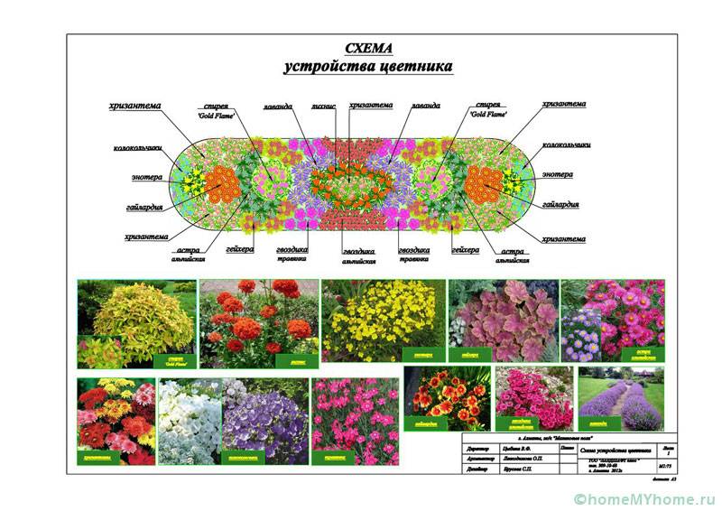 Проект за дизайн на цветна градина