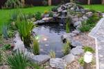 do-it-yourself pond in the country step by step: photo