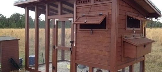 do-it-yourself chicken coop for 10 chickens