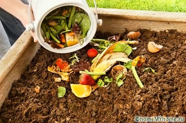 Отпадъците от растения, плодове и зеленчуци са най-добрият и полезен материал
