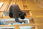 Подова изолация в дървена къща отдолу