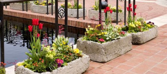 Concrete outdoor flowerpots