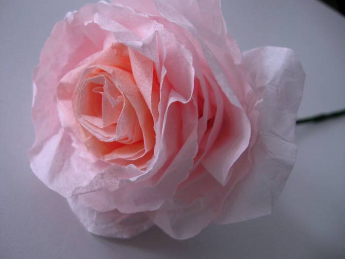 Гофрирана хартиена роза - красиво и нежно цвете