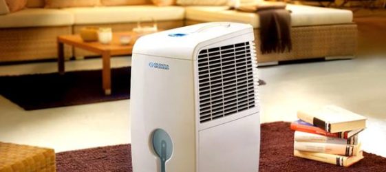 Air dehumidifier for an apartment: prices, reviews