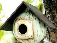 Birdhouse zucca