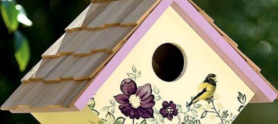 Domek dla ptaków DIY wykonany z drewna: materiały, rysunki, dekoracje i instalacja