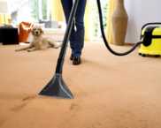 How to choose a washing vacuum cleaner: reviews