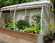 DIY greenhouse made of scrap materials