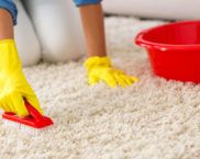 Cum să vă curățați covorul acasă