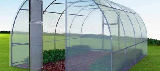 Greenhouses and greenhouses made of polycarbonate: sizes, prices