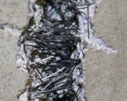 Prezența fibrelor în compoziția amestecului de beton crește caracteristicile de rezistență ale betonului