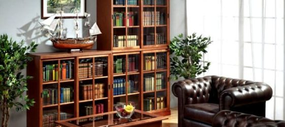 Bookcases and home libraries